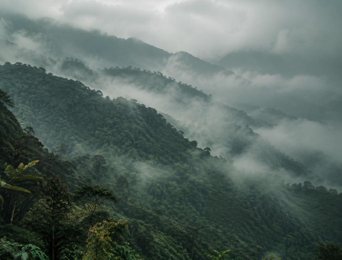 Misty cloud forest ridges falling toward the Amazon